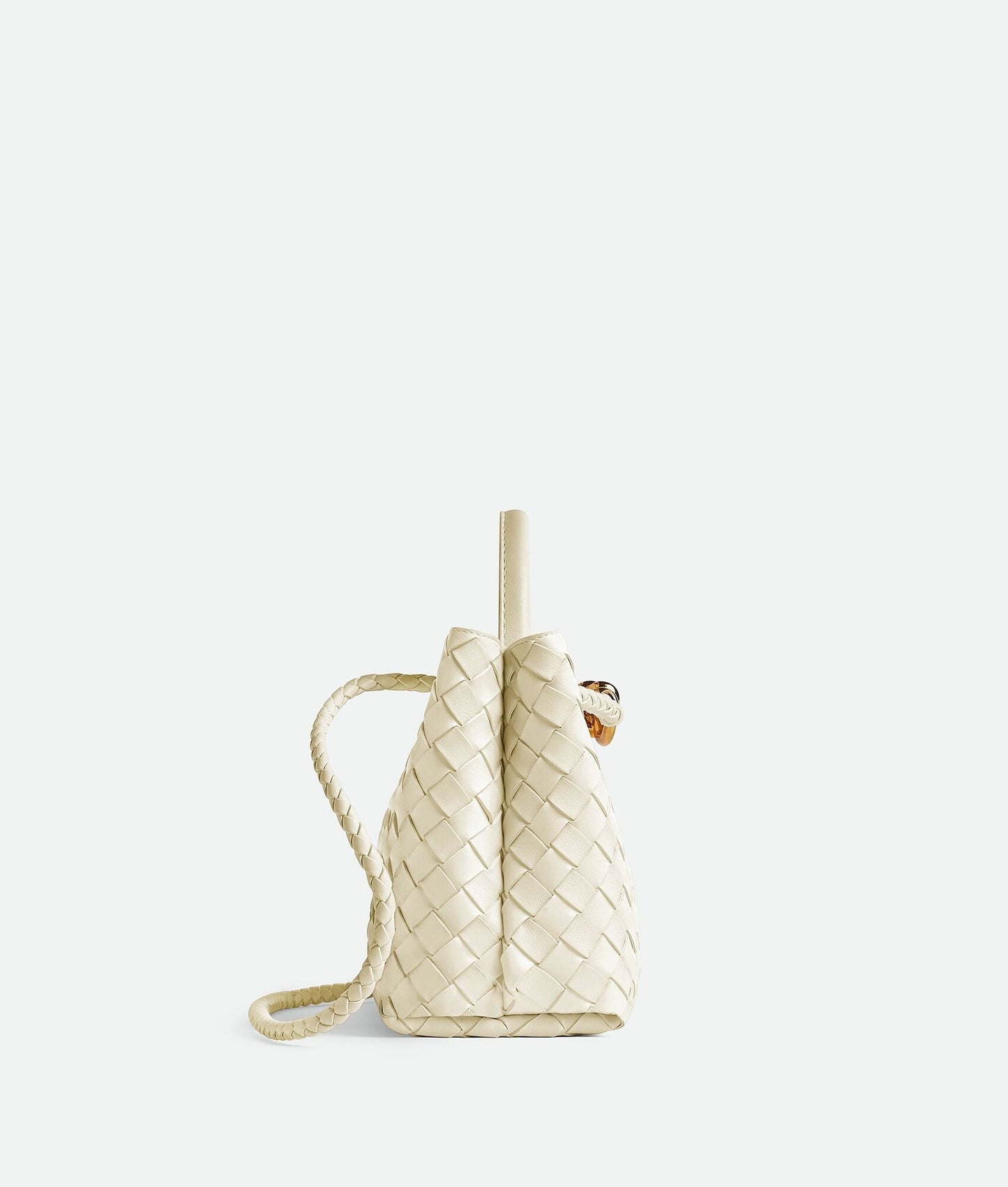 Bottega Veneta Small Andiamo