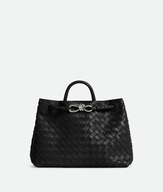 Bottega Veneta Medium Andiamo
