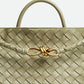 Bottega Veneta Medium Andiamo
