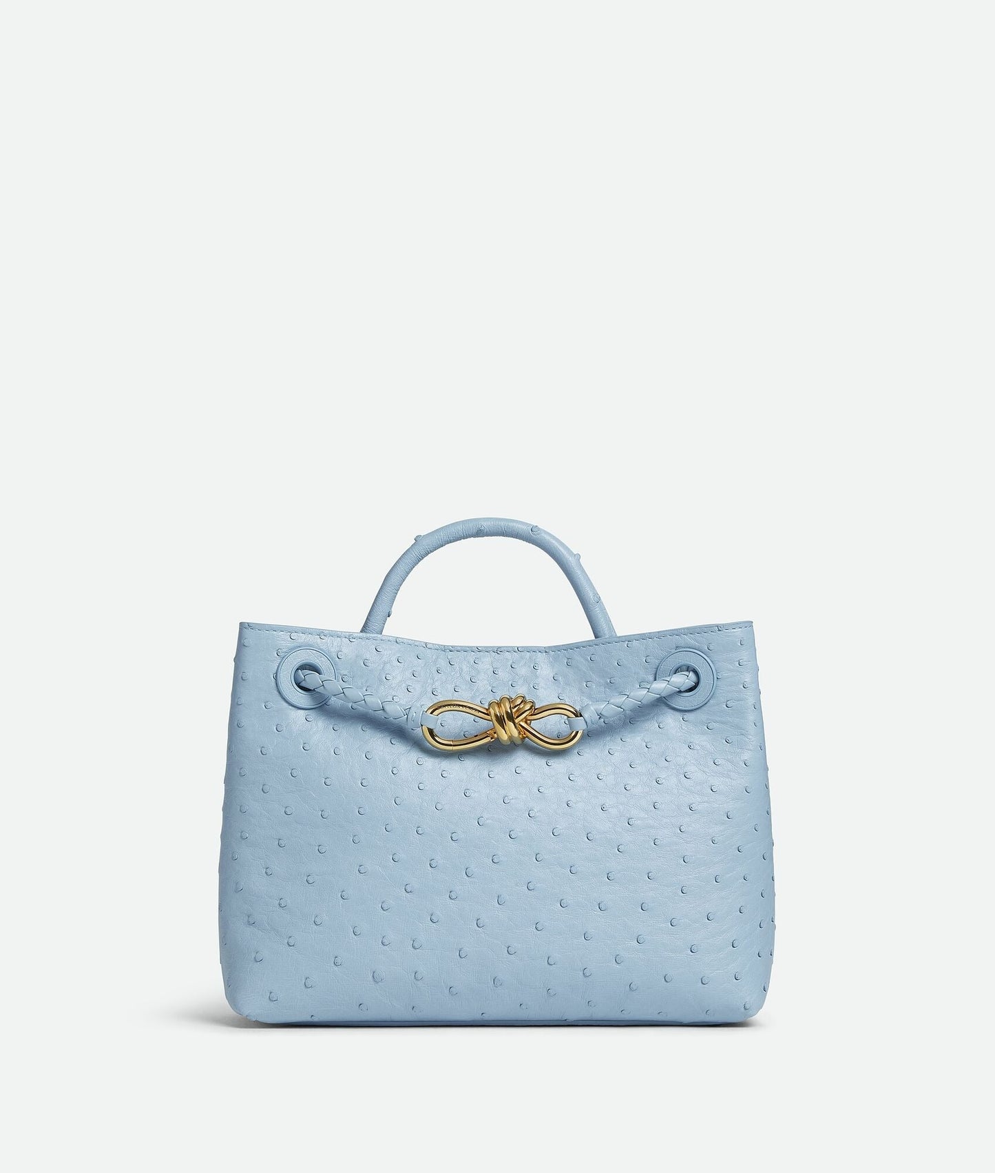 Bottega Veneta Small Andiamo