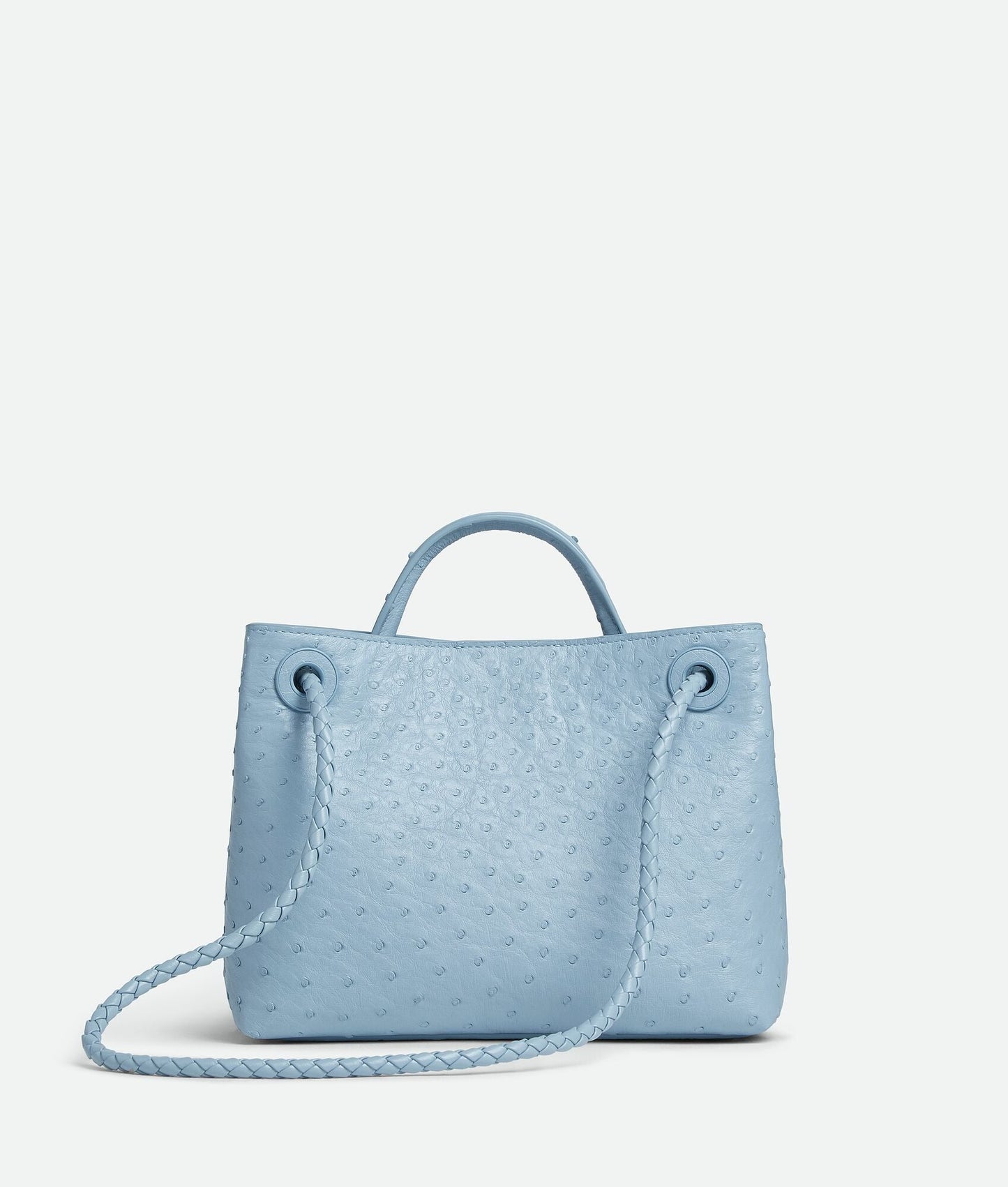 Bottega Veneta Small Andiamo