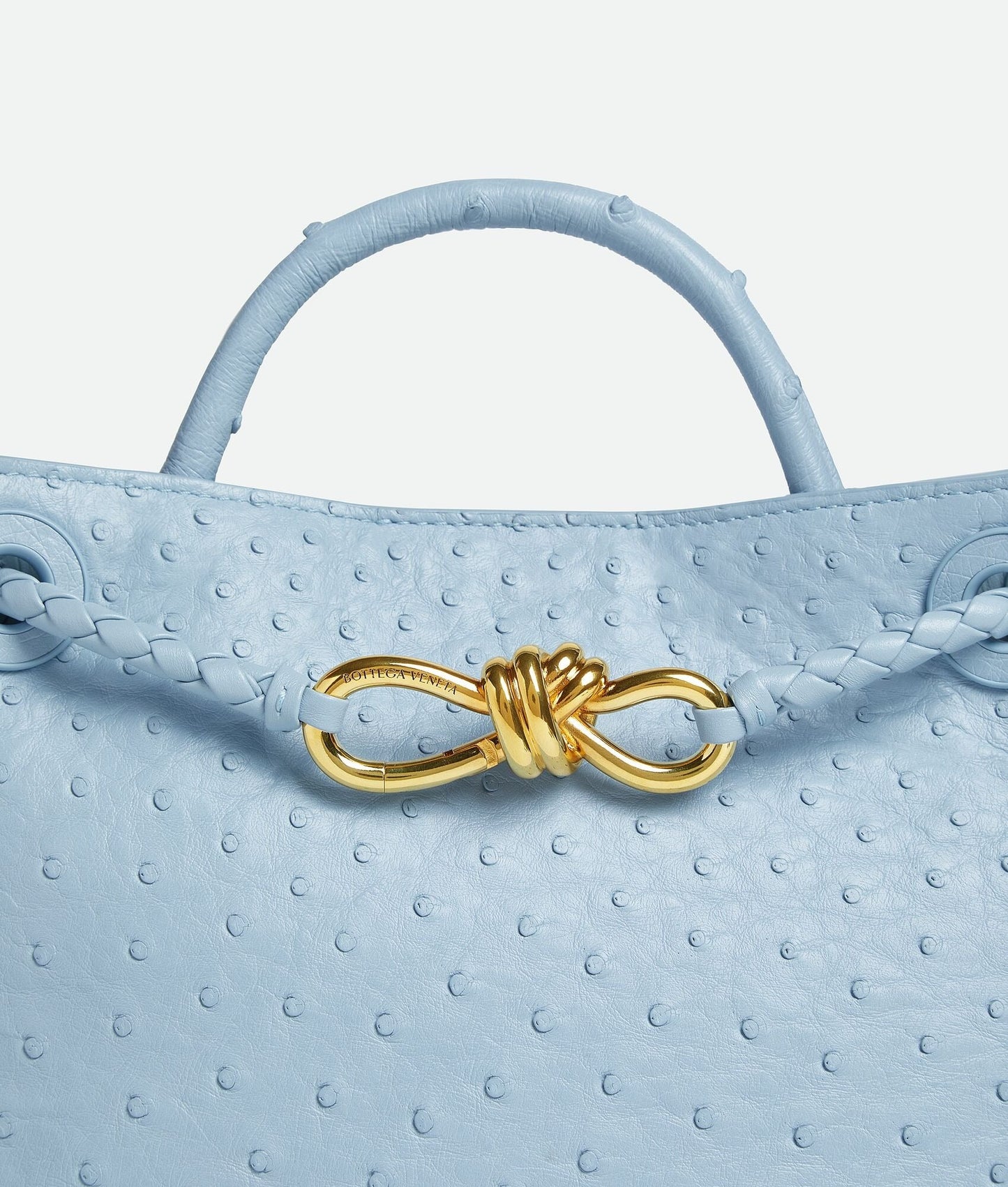 Bottega Veneta Small Andiamo