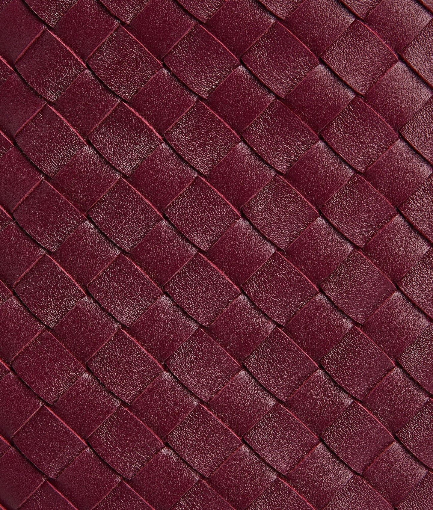 Bottega Veneta Pinacoteca