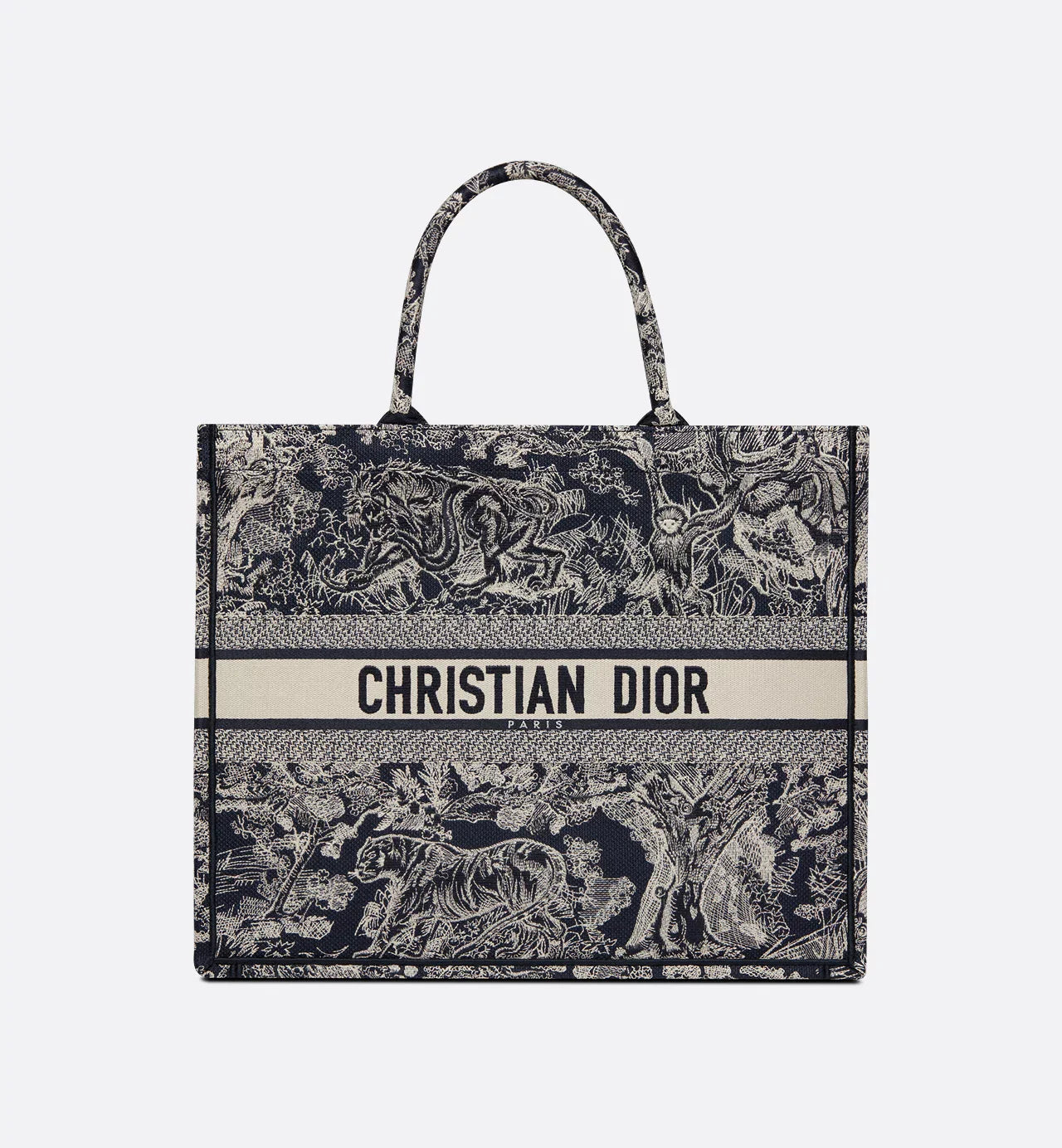 Large Dior Book Tote