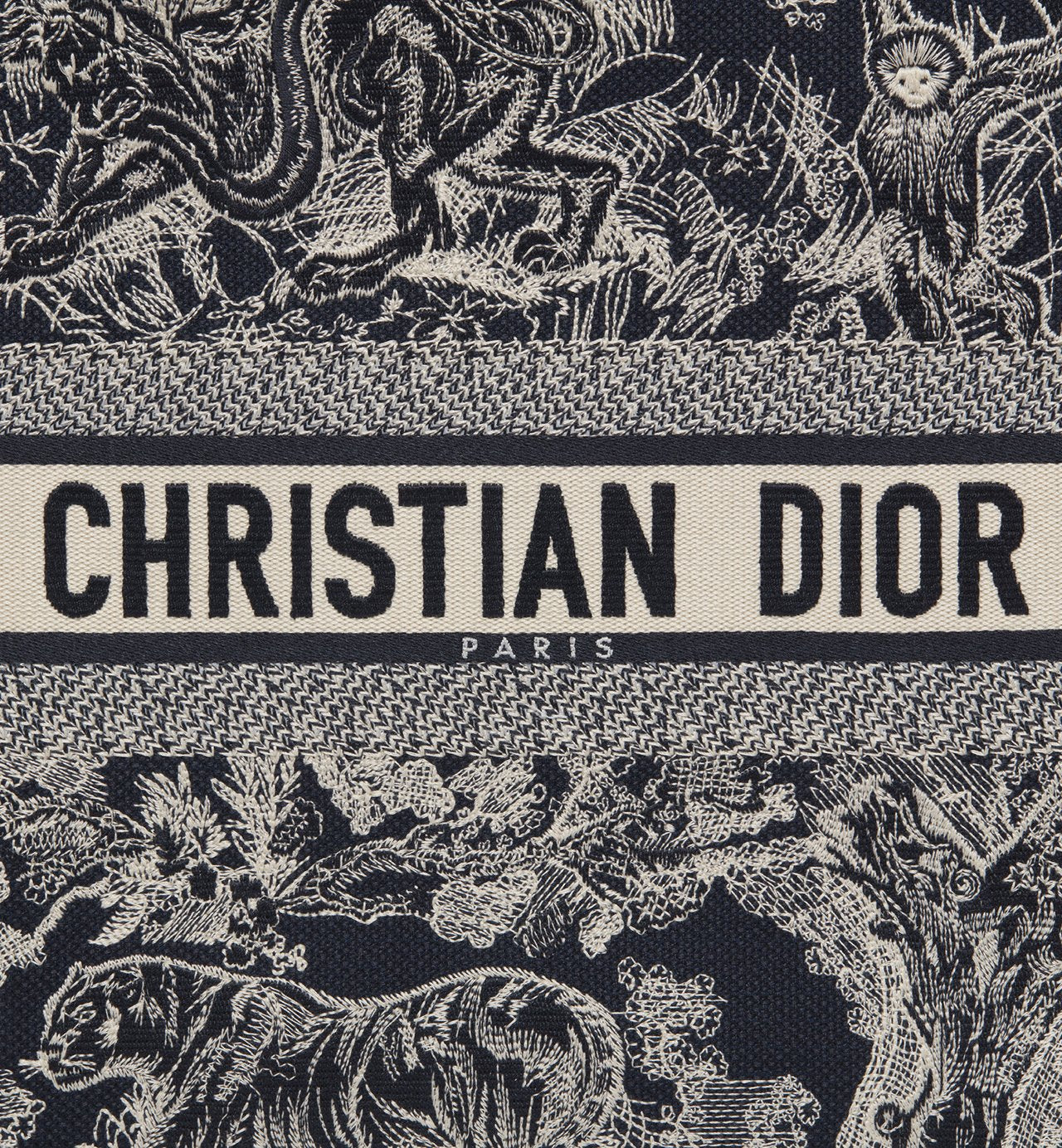 Large Dior Book Tote