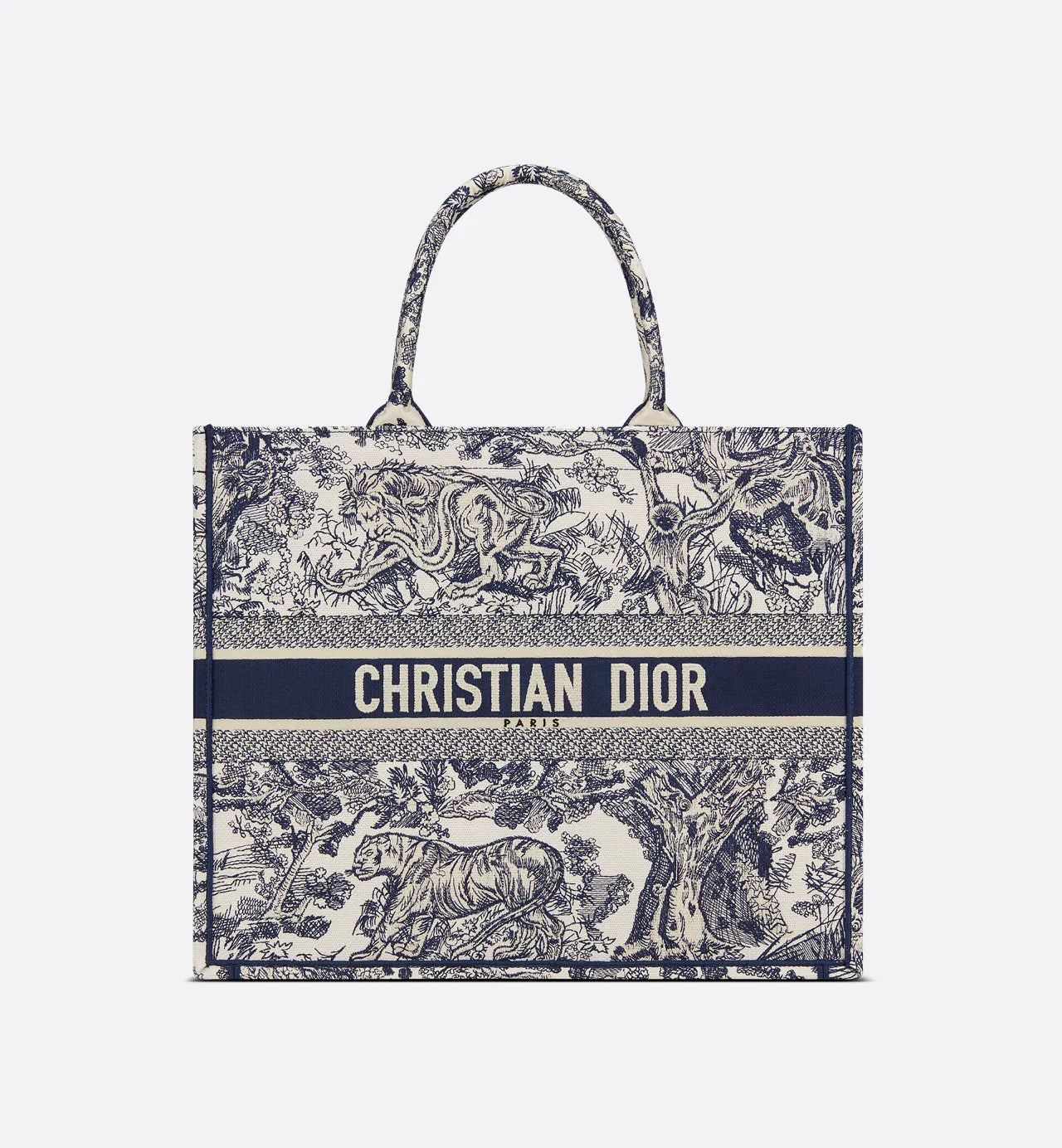 Large Dior Book Tote