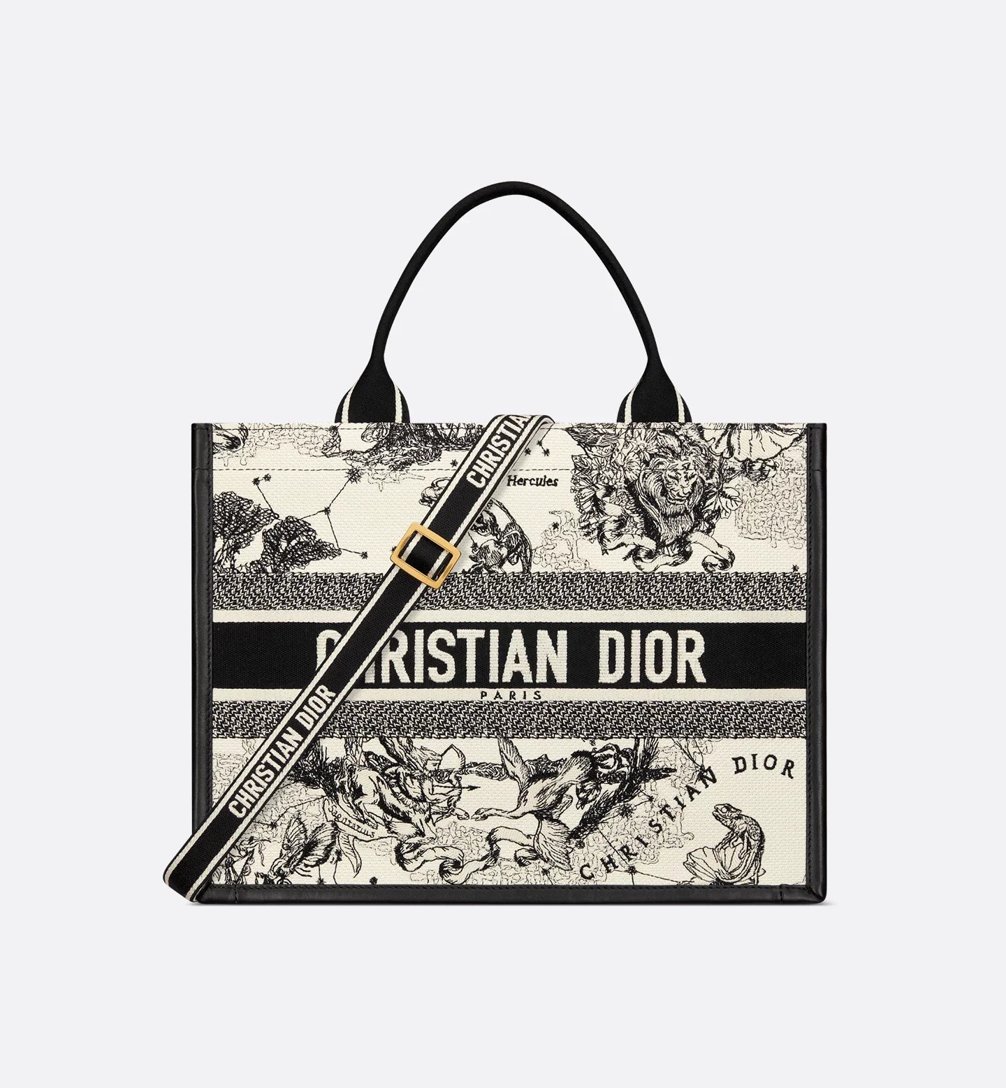 Medium Dior Book Tote