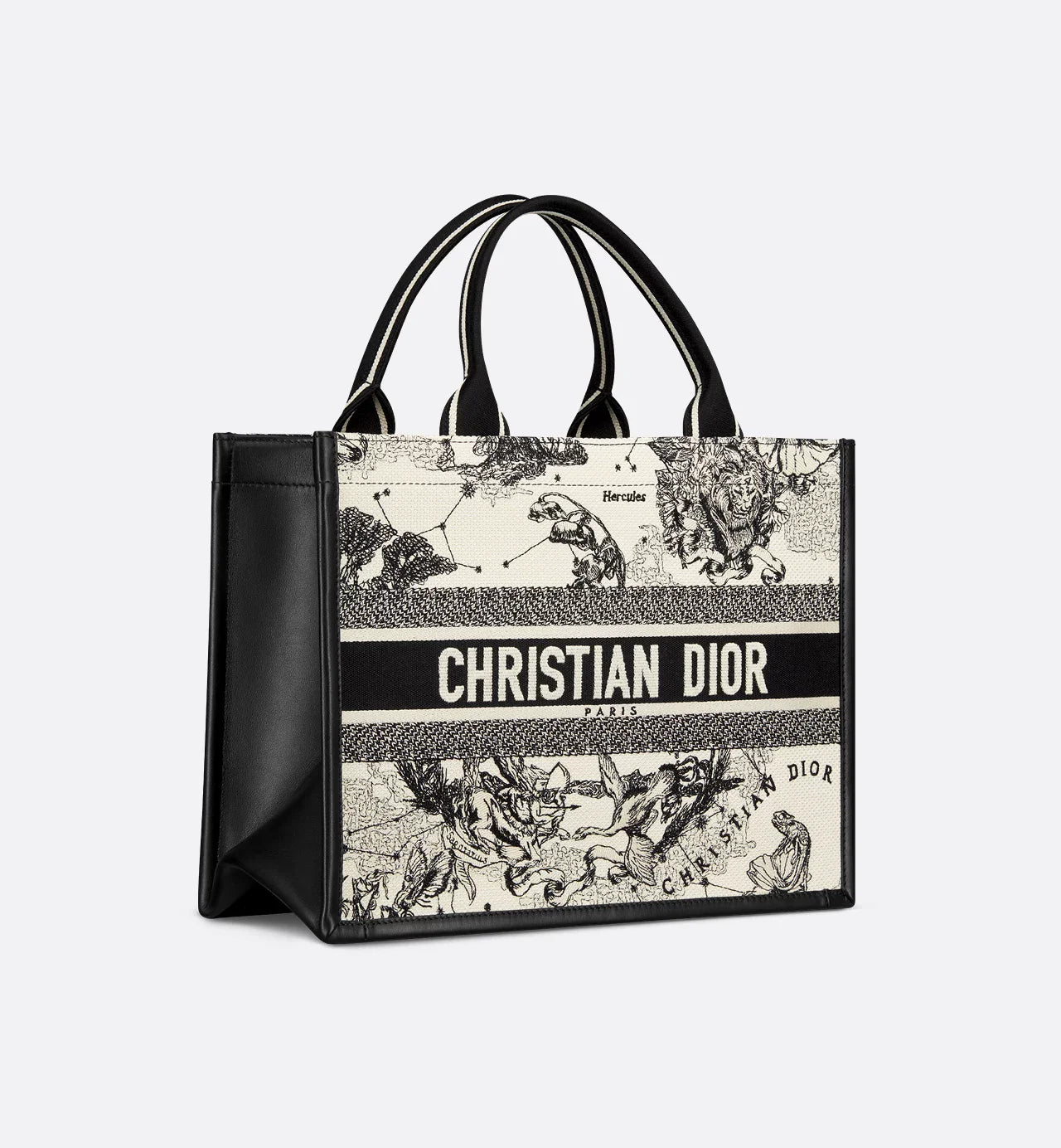 Medium Dior Book Tote