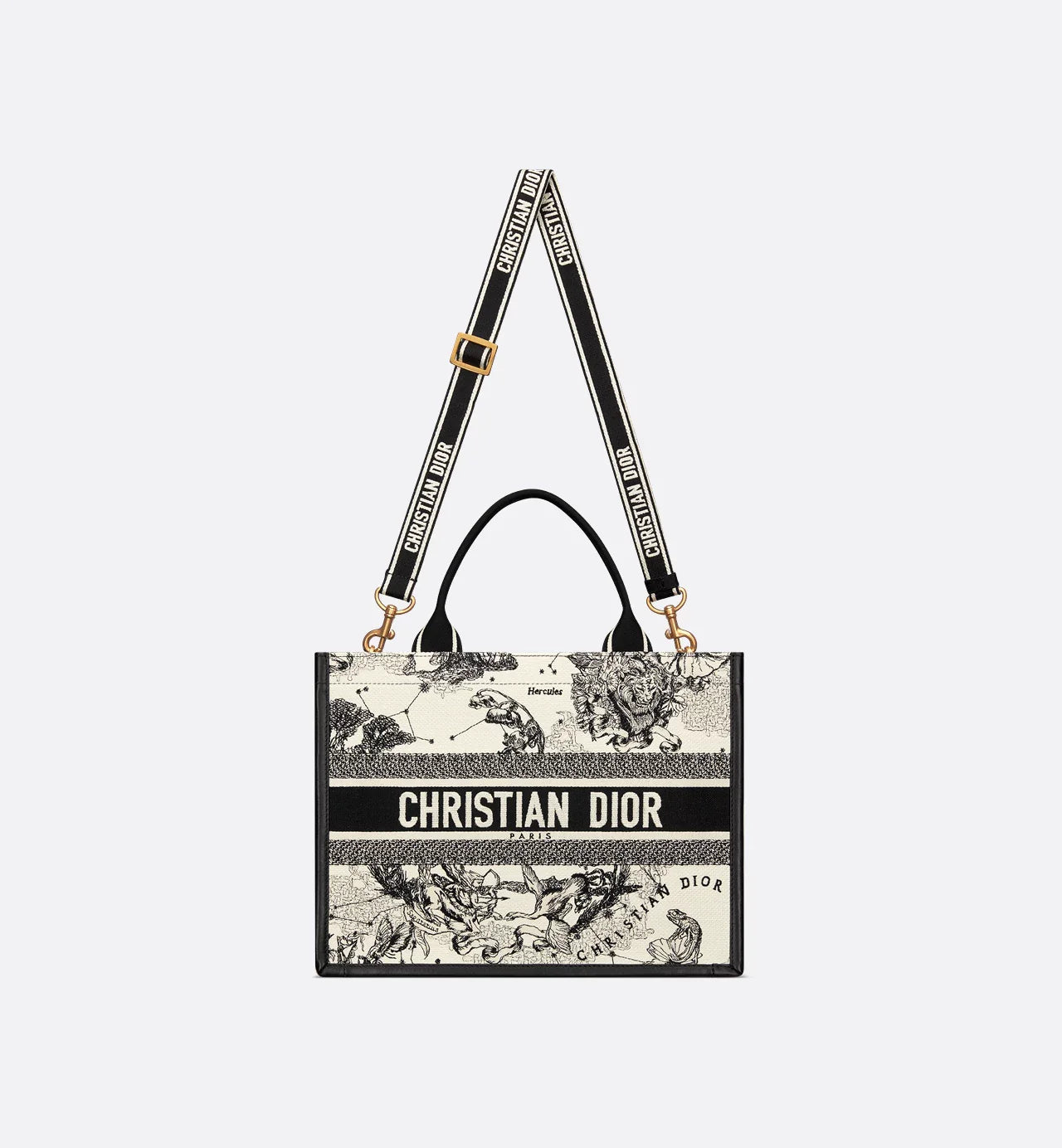 Medium Dior Book Tote