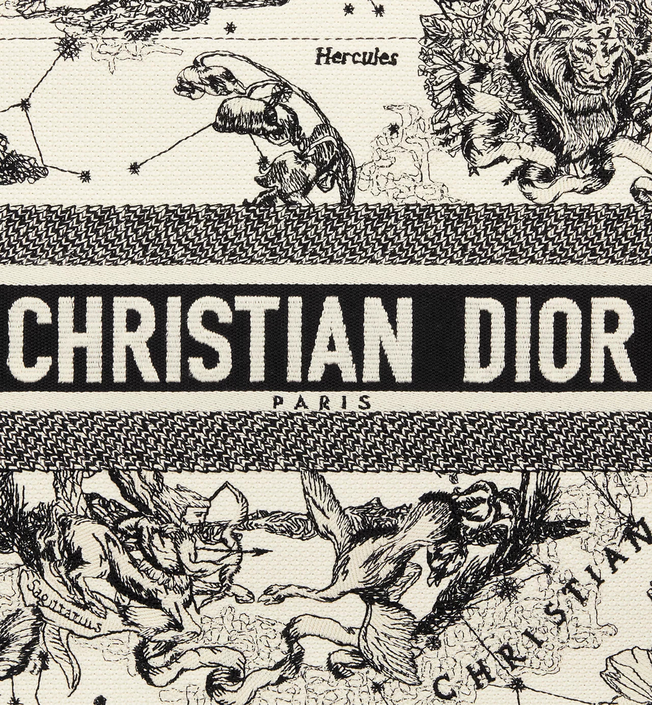 Medium Dior Book Tote