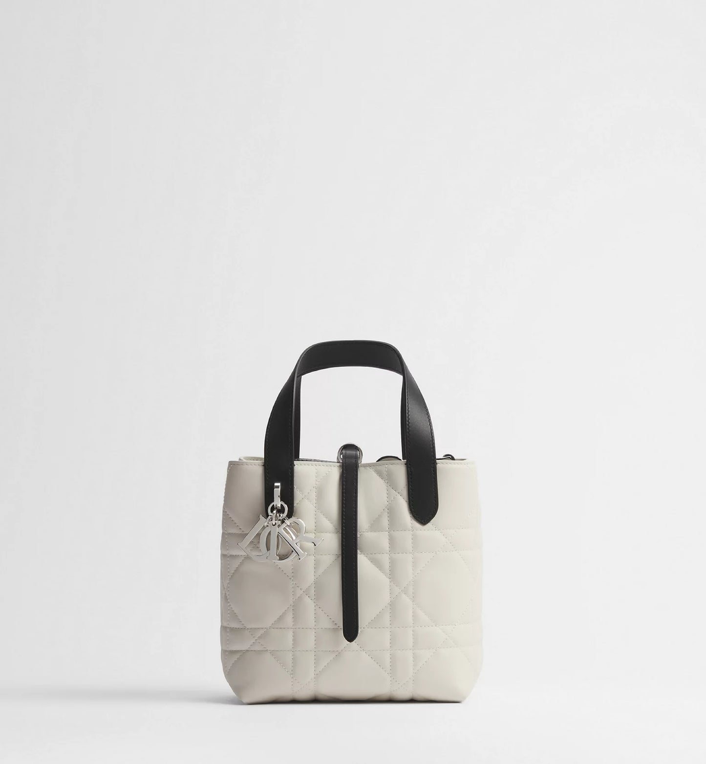 Small Dior Toujours Vertical Tote Bag 2026