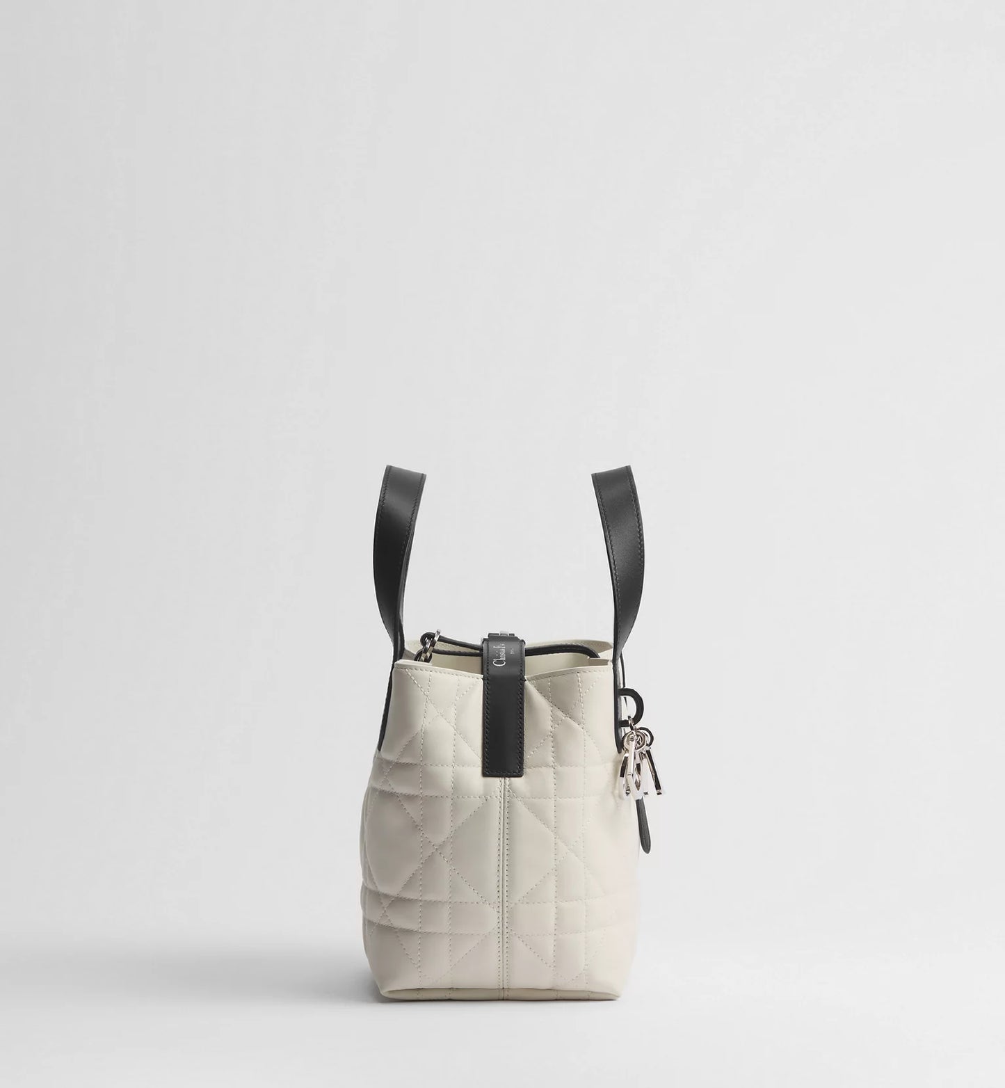 Small Dior Toujours Vertical Tote Bag 2026