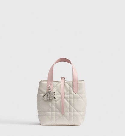Small Dior Toujours Vertical Tote Bag 2026