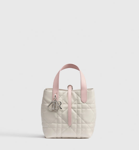 Small Dior Toujours Vertical Tote Bag 2026