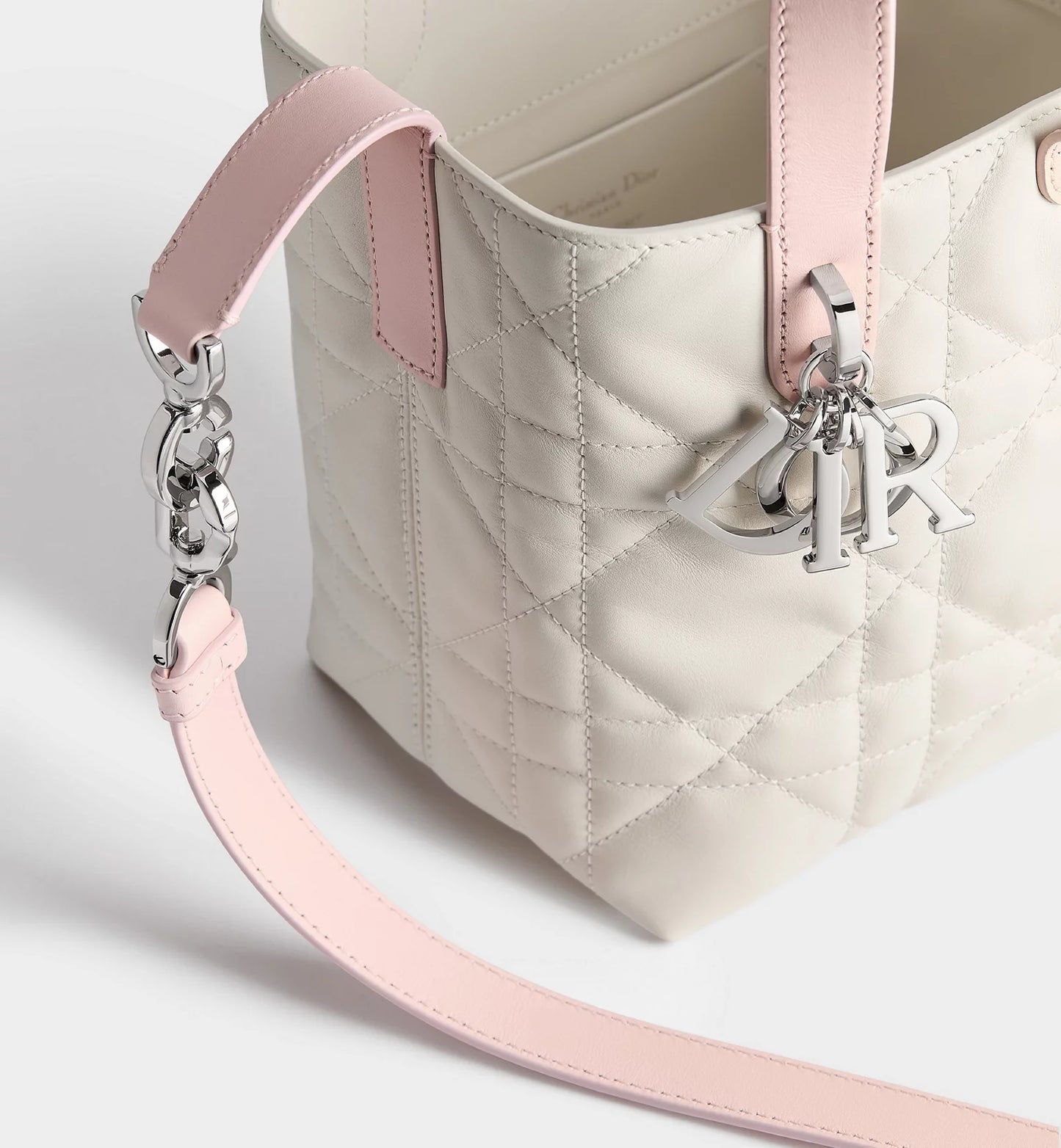 Small Dior Toujours Vertical Tote Bag 2026