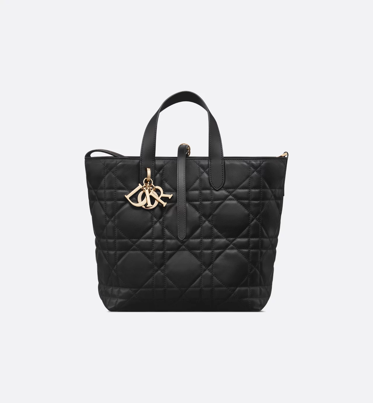 Dior Toujours Vertical Tote Bag