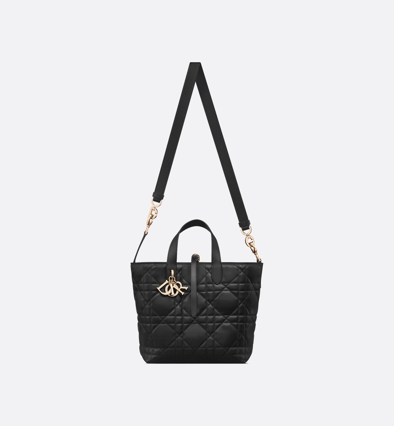 Dior Toujours Vertical Tote Bag