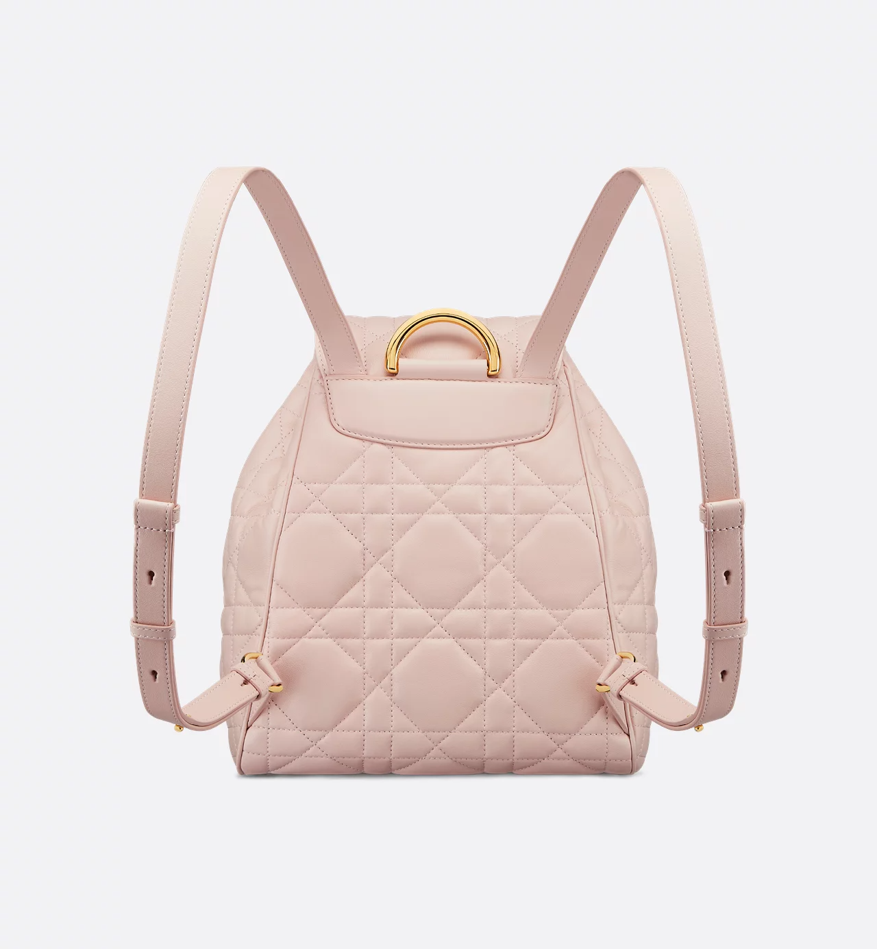 Dior Caro Backpack