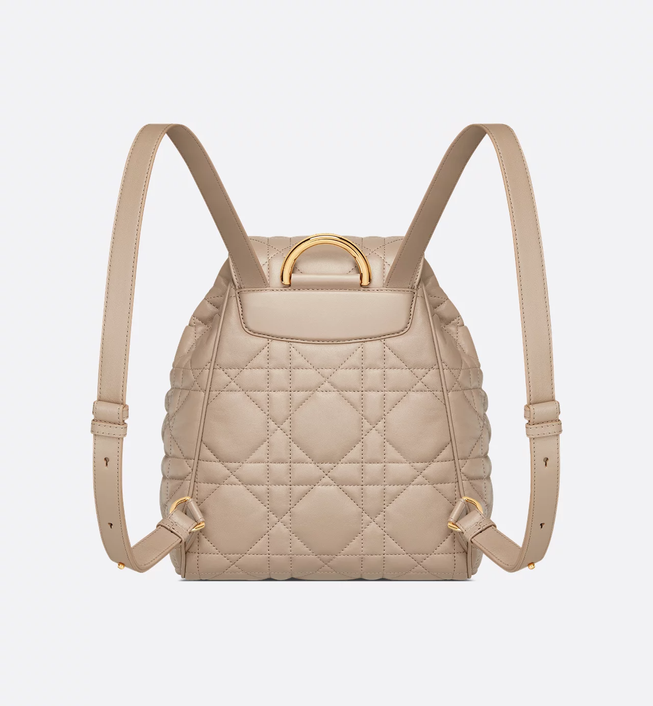 Dior Caro Backpack