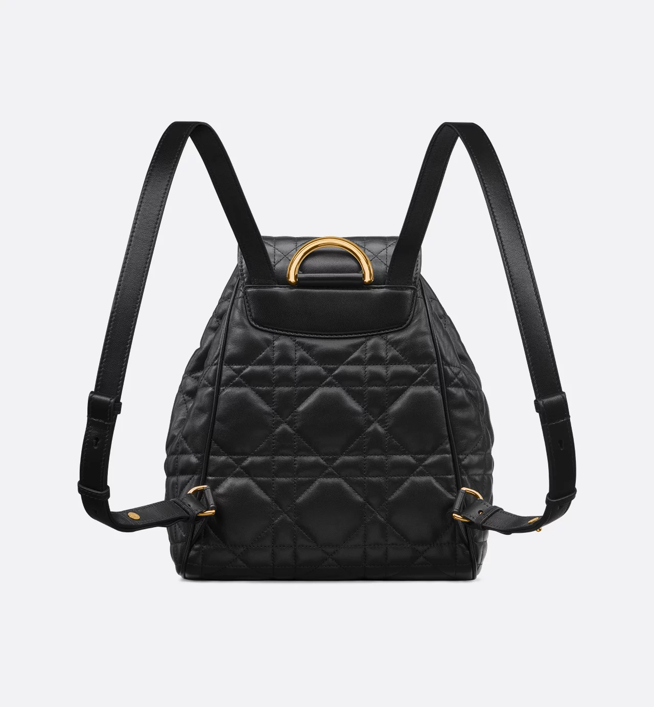 Dior Caro Backpack