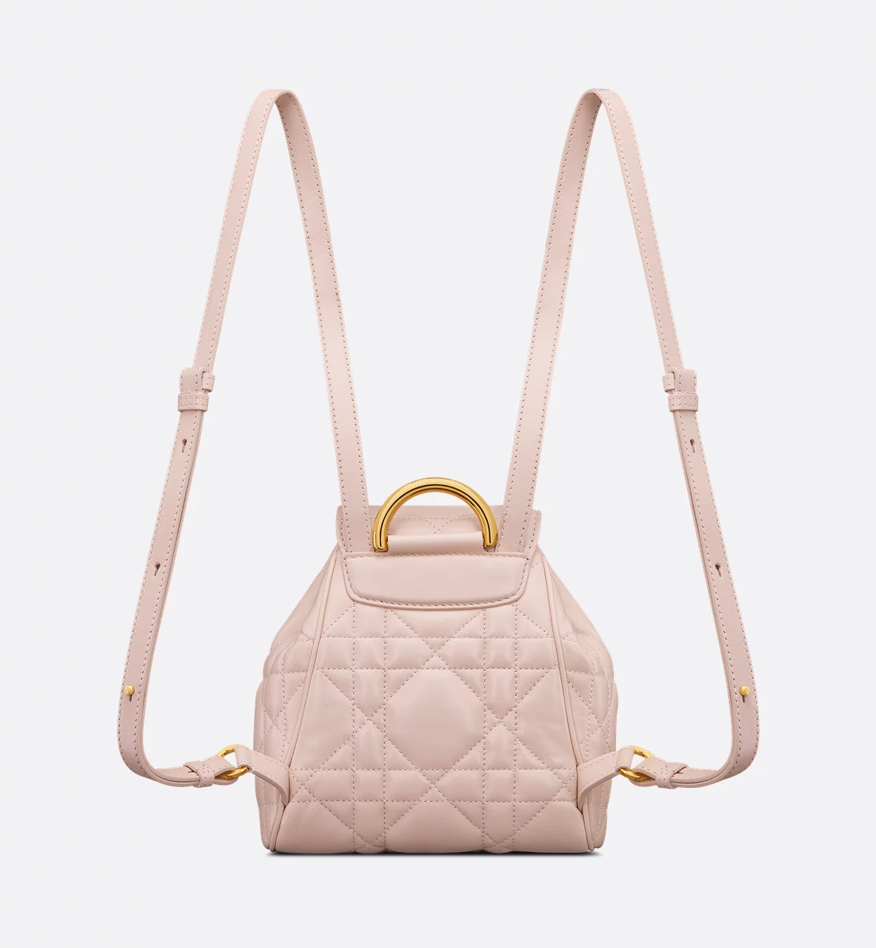 Dior Caro Backpack
