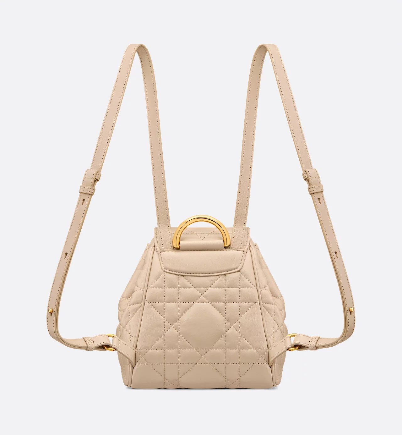 Dior Caro Backpack