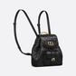 Dior Caro Backpack