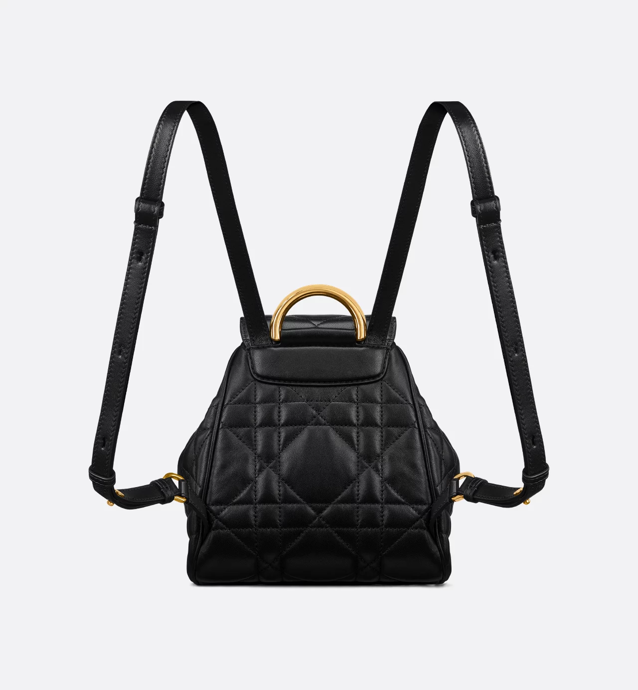 Dior Caro Backpack