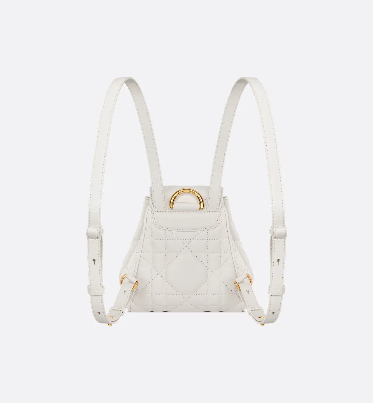 Dior Caro Backpack