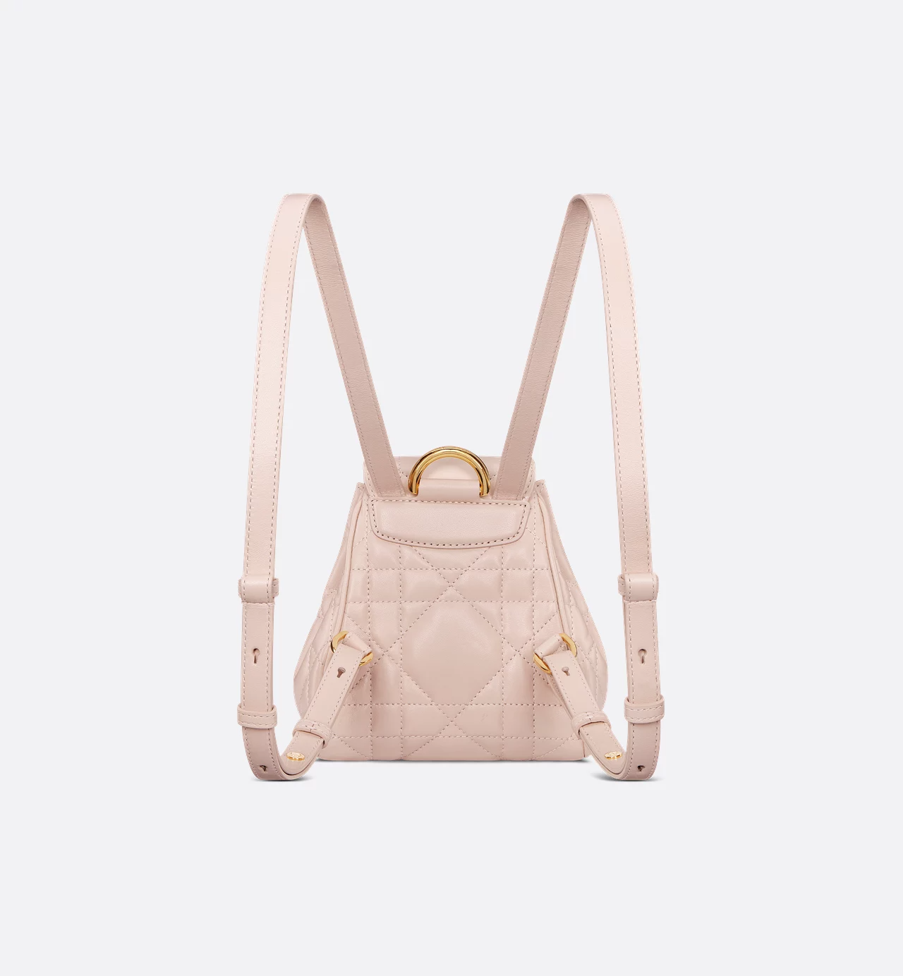 Dior Caro Backpack