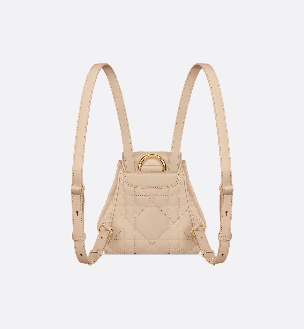 Dior Caro Backpack