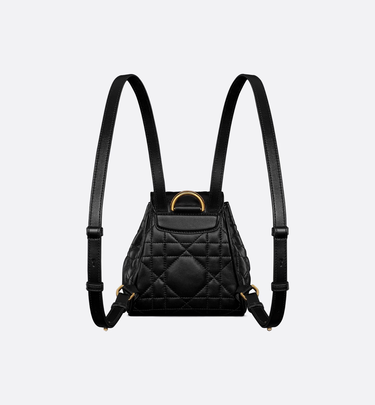 Dior Caro Backpack