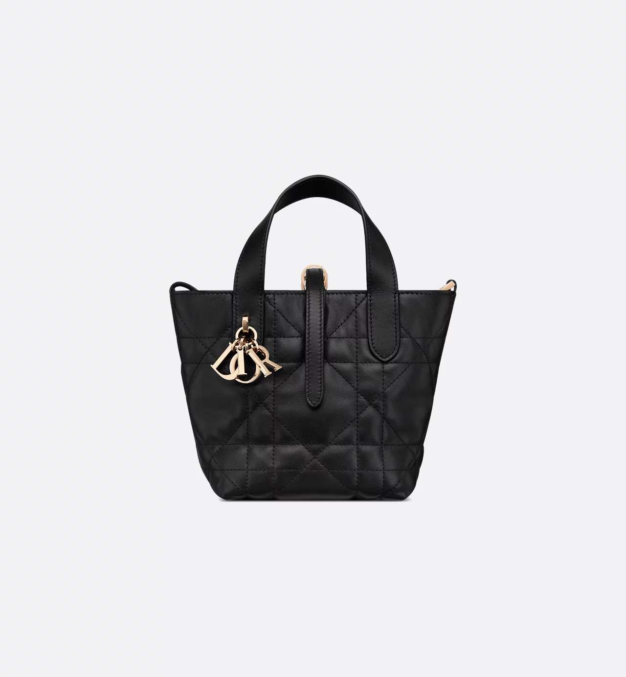 Dior Toujours Vertical Tote Bag