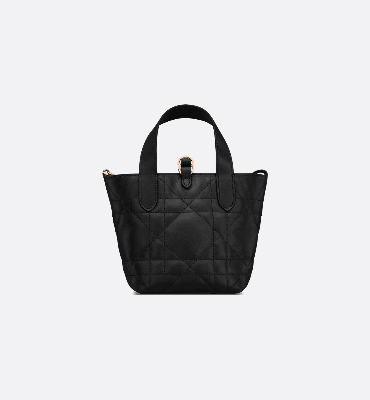 Dior Toujours Vertical Tote Bag