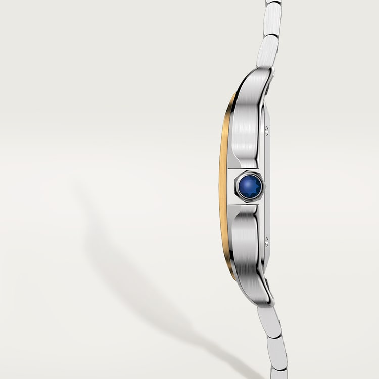 Santos de Cartier Medium 35.1mm Steel Yellow Gold Blue Crown Silvered Opaline Dial Steel Bracelet Automatic Watch