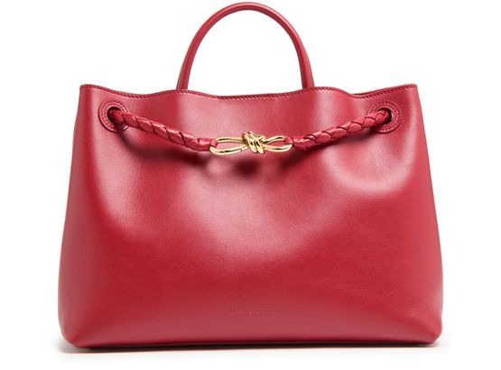 Bottega Veneta Medium Andiamo