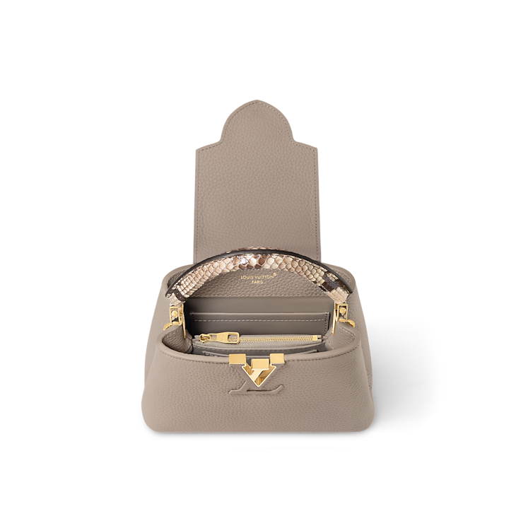 Louis Vuitton Capucines Mini