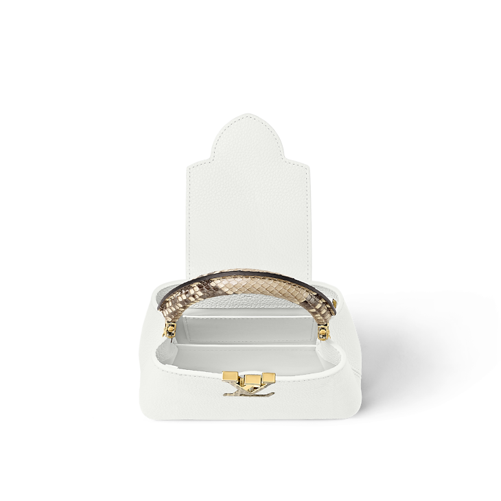 Louis Vuitton Capucines Mini