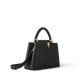 Louis Vuitton Capucines MM